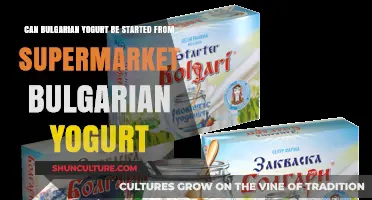 Homemade Bulgarian Yogurt: Can Supermarket Yogurt Be the Starter?