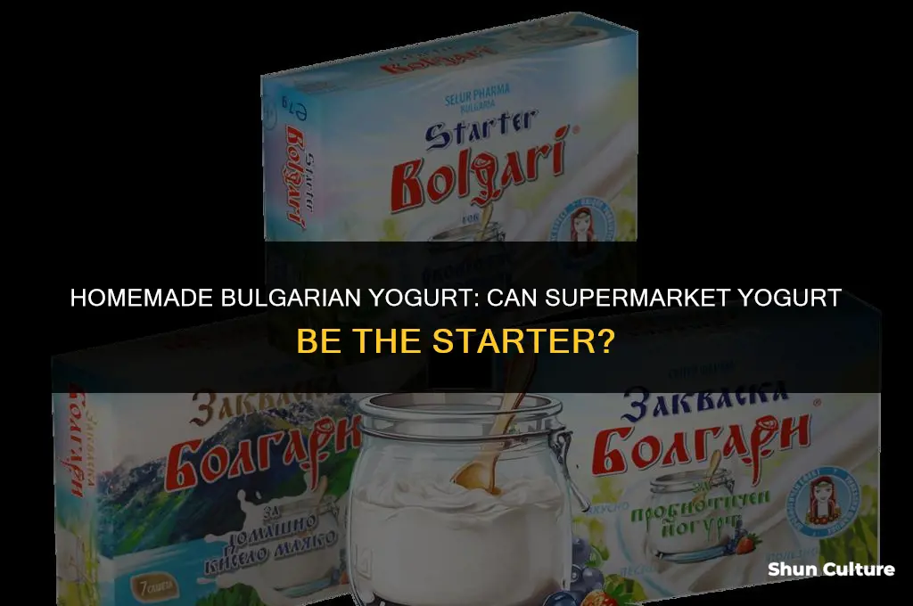 can bulgarian yogurt be started from supermarket bulgarian yogurt