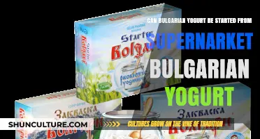 Homemade Bulgarian Yogurt: A Journey from Supermarket to Starter