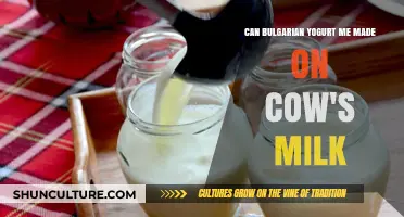 Exploring the Richness of Bulgarian Yogurt Made from Cow's Milk