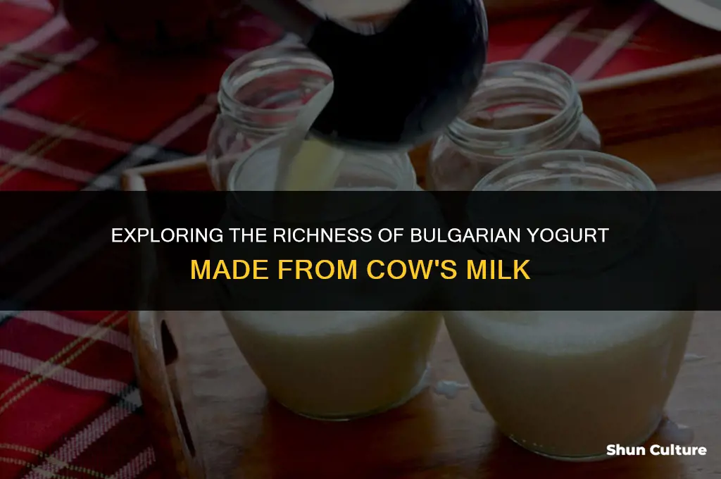 can bulgarian yogurt me made on cow