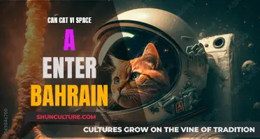 Cats in Space: Exploring Bahrain's Pet Travel Rules