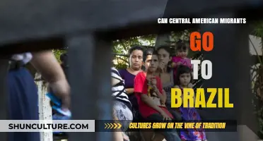 Central American Migrants: Exploring Brazil as a New Destination