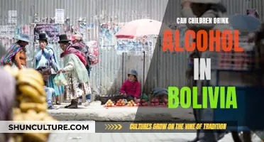 Alcohol Consumption Laws for Minors in Bolivia