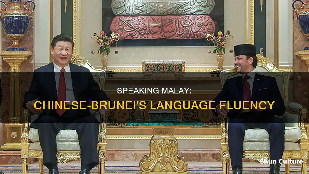 can chinese in brunei speak malay