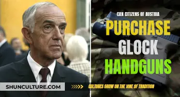 Glock Handguns: Austrian Citizens' Right to Purchase