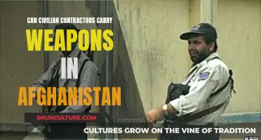 Weapon Wielding Contractors: The Complexities of Afghanistan's Civilian Security