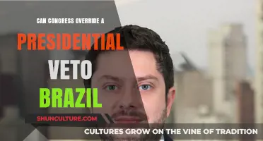 Brazil's Legislative Power: Can Congress Override a Presidential Veto?