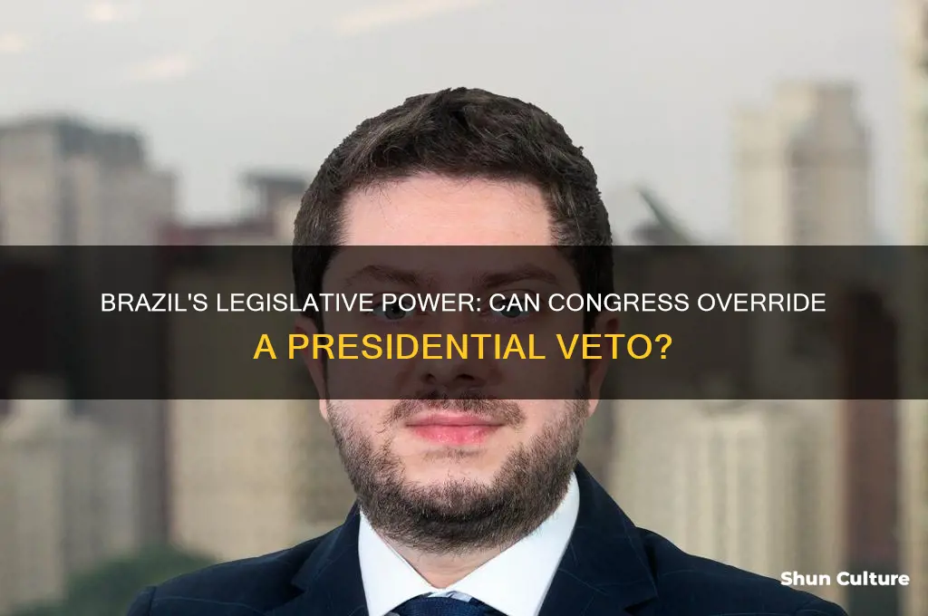 can congress override a presidential veto brazil
