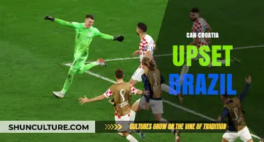 Croatia vs. Brazil: Can the Underdogs Shock the World?