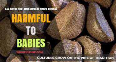 Cross-Contamination Risks: Are Brazil Nuts Safe for Babies?