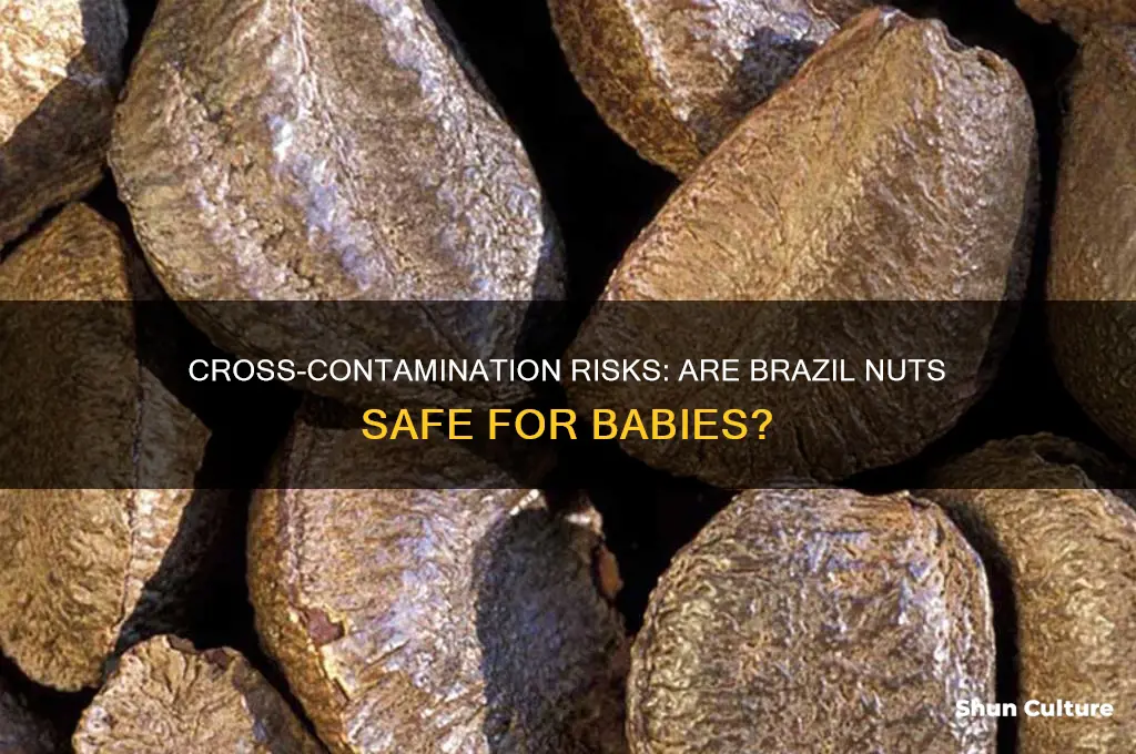 can cross contamination of brazil nuts be harmful to babies