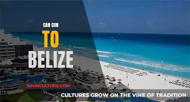 Travel Guide: Exploring Cancun and Belize's Best Spots