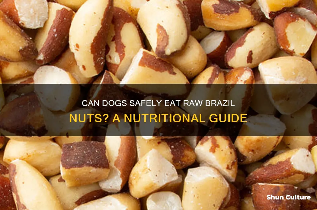 can dogs eat brazil nuts raw
