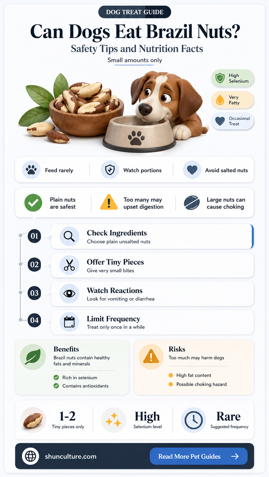 are dogs allowed brazil nuts