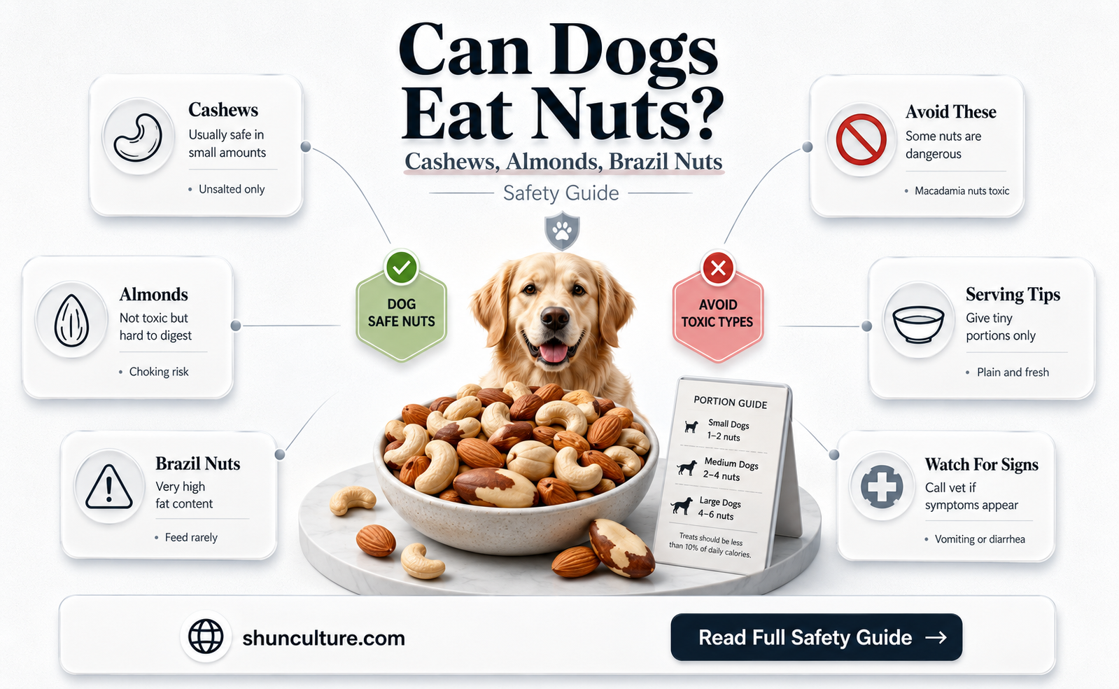 are dogs allergic to cashews almonds or brazil nuts