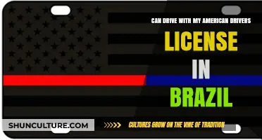 Driving in Brazil: Using Your American License Legally and Safely