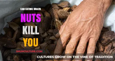 Brazil Nuts: A Nutritious Snack or Potential Health Hazard?