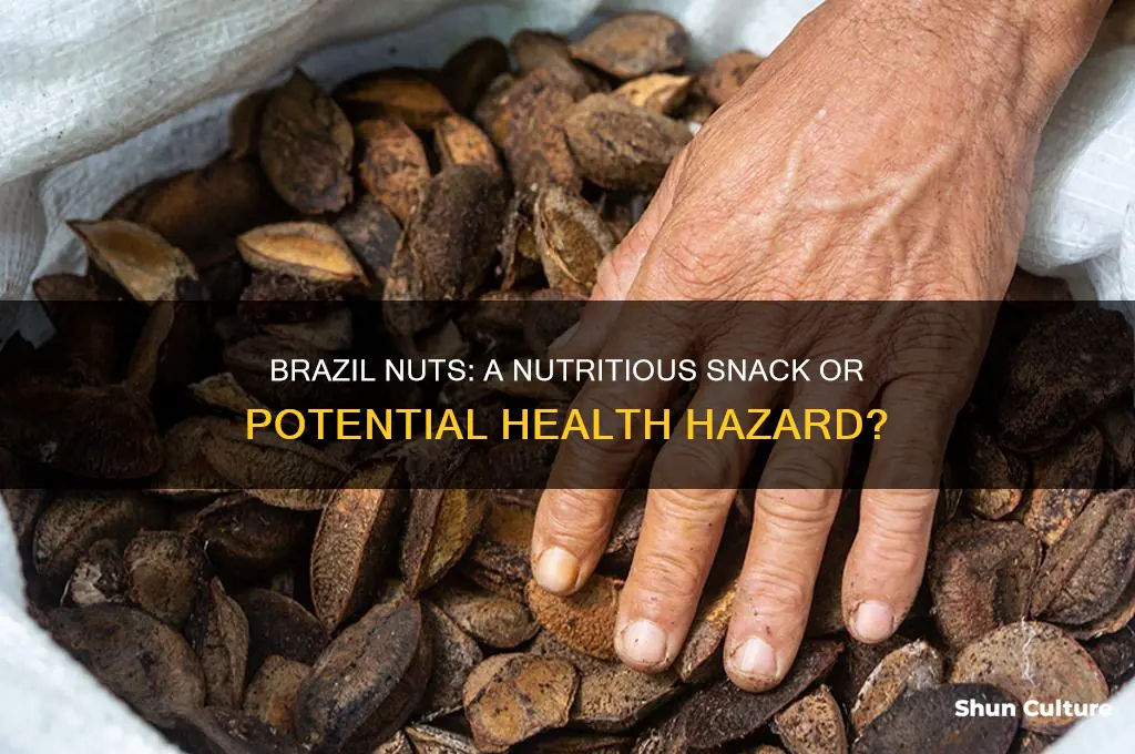 can eating brazil nuts kill you