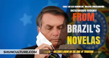 Brazilian Novelas: How Entertainment Media Challenges Dictatorial Regimes