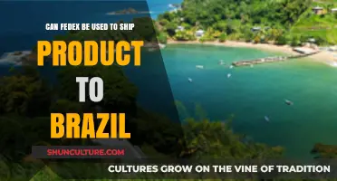 Shipping to Brazil: Can FedEx Deliver Your Products Efficiently?