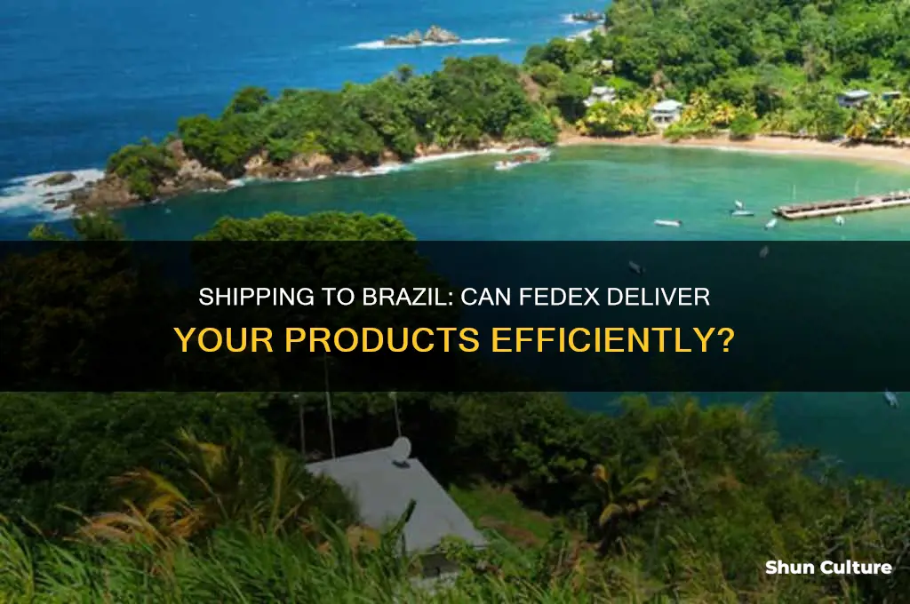 can fedex be used to ship product to brazil