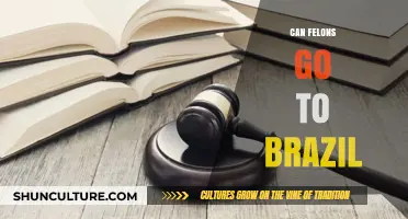Can Felons Travel to Brazil? Visa Rules and Entry Requirements