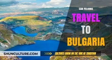 Exploring Bulgaria: A Guide for Travelers with Felonies