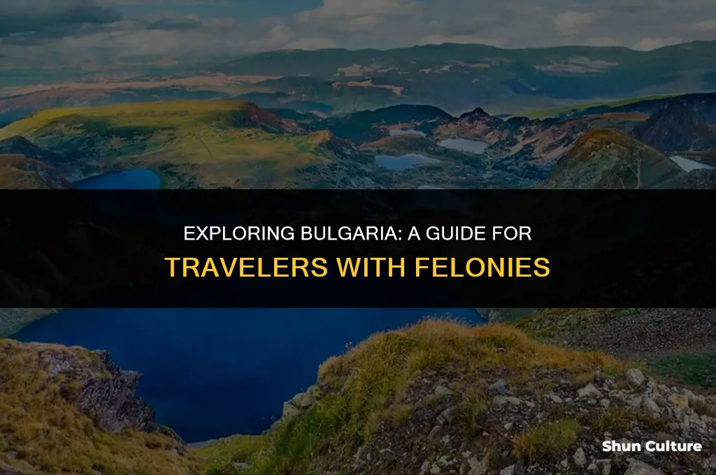 can feloons travel to bulgaria