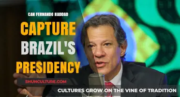 Can Fernando Haddad Secure Brazil's Presidency in Upcoming Elections?