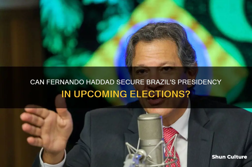 can fernando haddad capture brazil