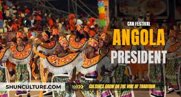 Angola's Festival President: Who's in Charge?