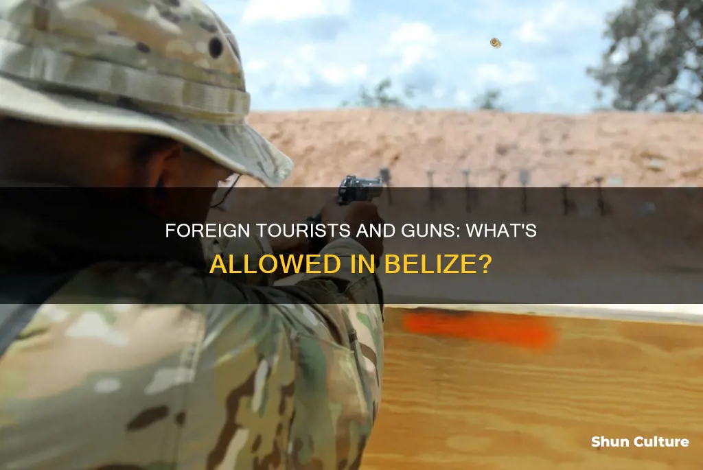 can foreign tourists bring guns to belize