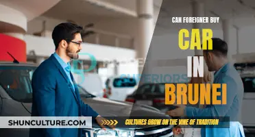 Buying Cars in Brunei: Foreigner's Guide