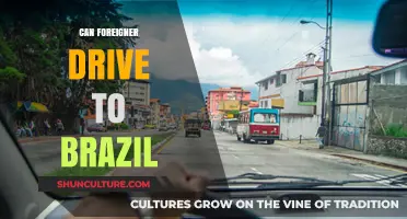 Driving to Brazil as a Foreigner: Legal Requirements and Tips