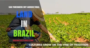 Can Foreigners Buy Agricultural Land in Brazil? Legal Insights