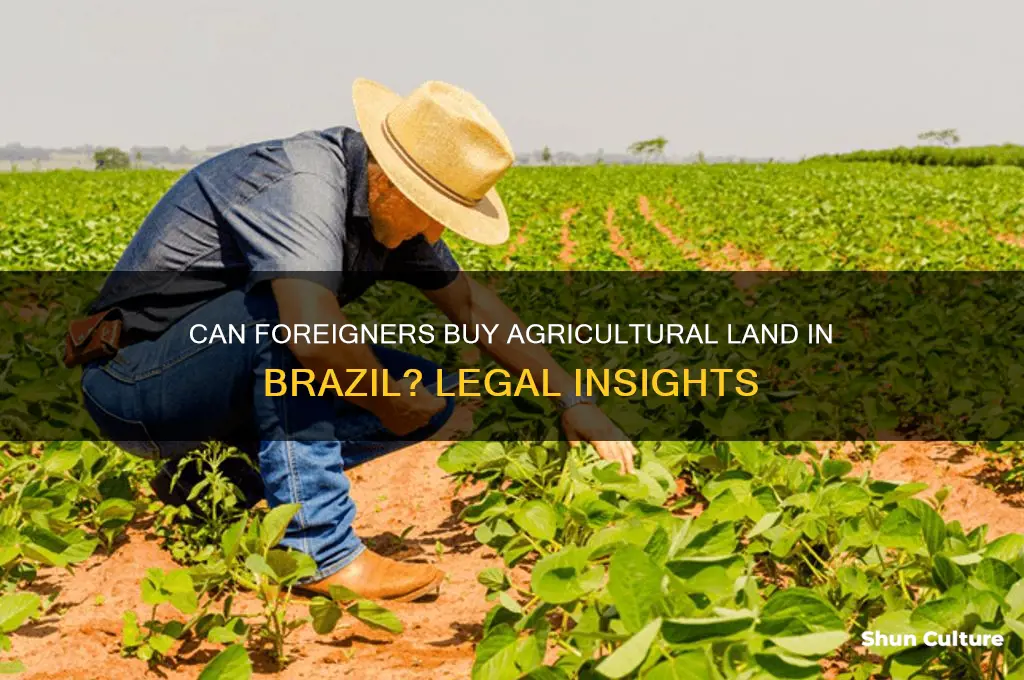 can foreigners buy agricultural land in brazil