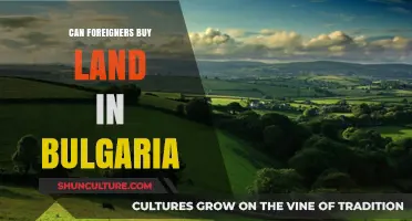 Exploring Real Estate Opportunities in Bulgaria for International Investors