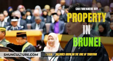 A Golden Opportunity: Foreigners Buying Property in Brunei