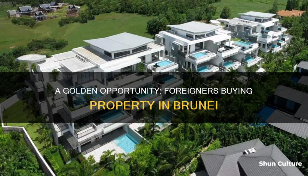 can foreigners buy property in brunei