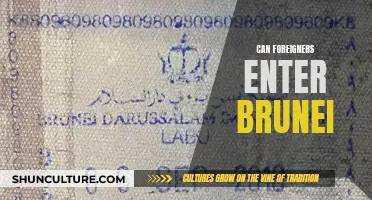 Exploring Entry Requirements: Can Foreigners Enter Brunei?