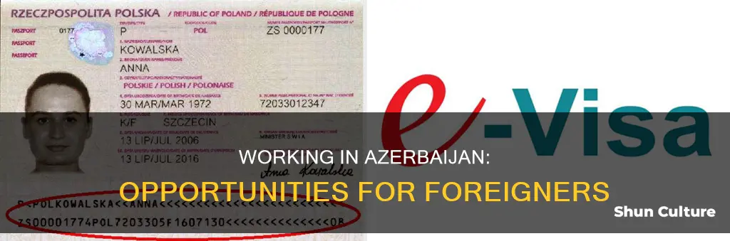 can foreigners work in azerbaijan