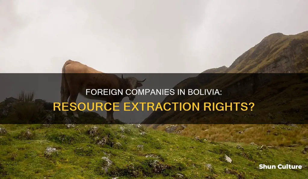 can forein companies extract resouses in bolivia