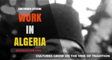 Can French Citizens Work in Algeria? Legal Insights and Opportunities