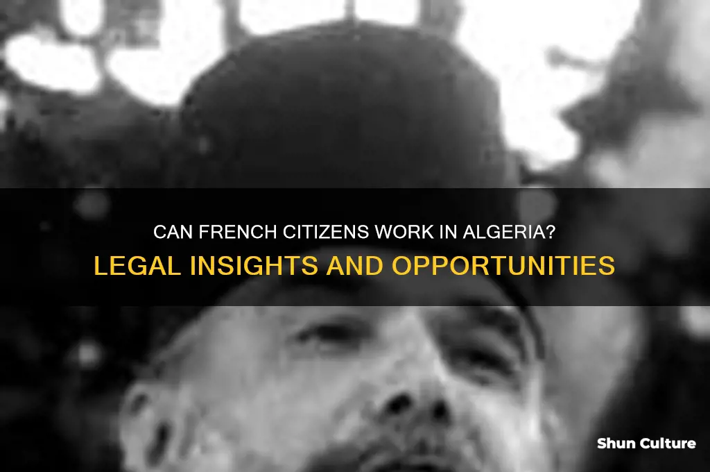 can french citizens work in algeria