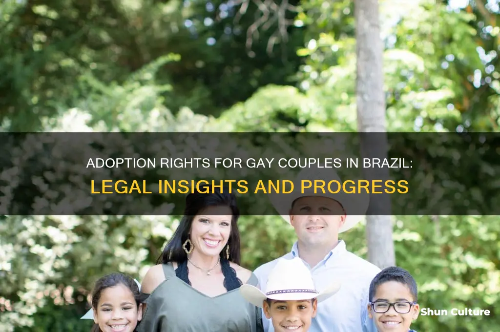 can gay couples adopt in brazil