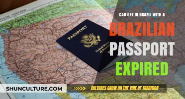 Expired Brazilian Passport: Can You Still Travel Within Brazil?