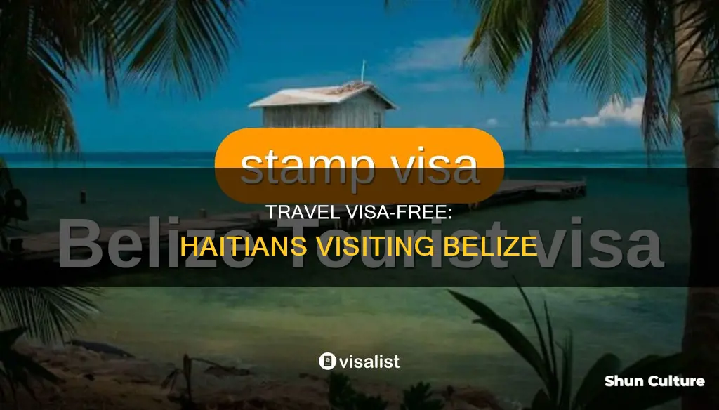 can haitian go to belize without visa