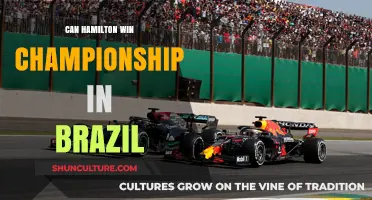 Can Hamilton Secure the Championship Title in Brazil?