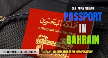 Applying for a US Passport: Options in Bahrain